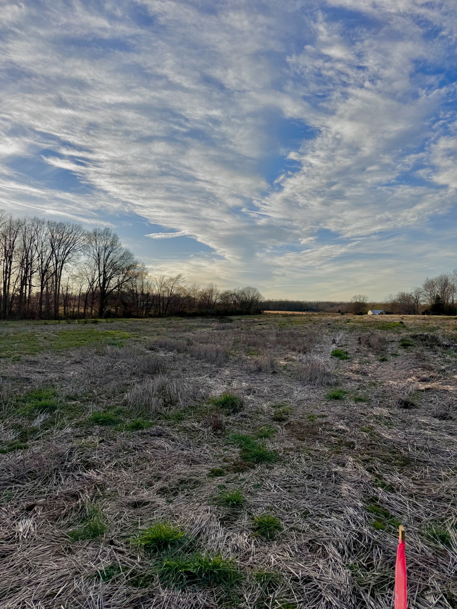 0 Bluff Road Loretto, TN 38469 - Photo 5 of 11 a view of a yard with an outdoor space