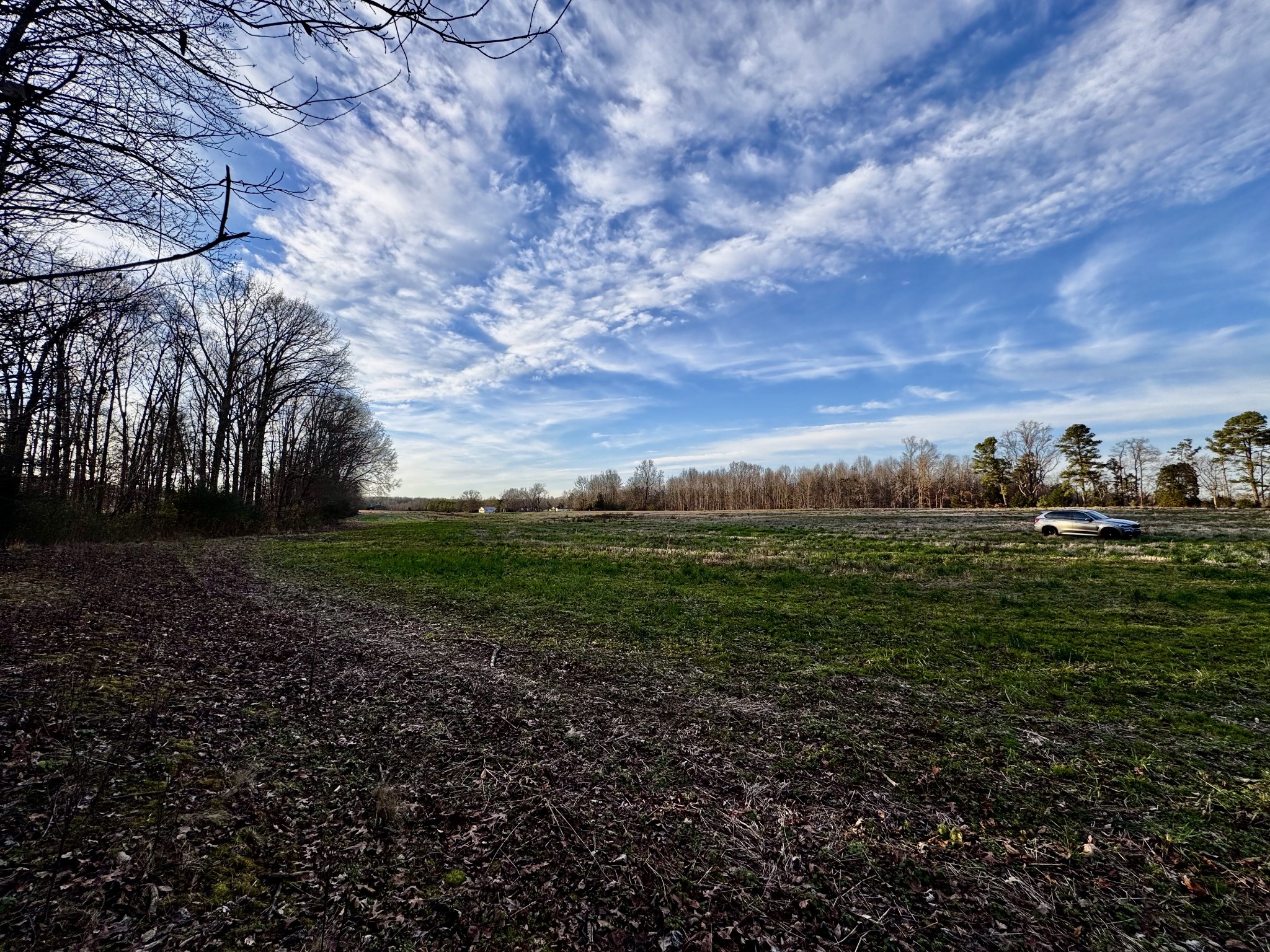 0 Bluff Road Loretto, TN 38469 - Photo 10 of 11 a view of a field