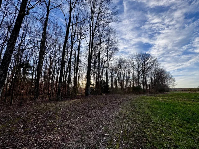 $135,000 | 0 Bluff Road, Loretto, TN 38469