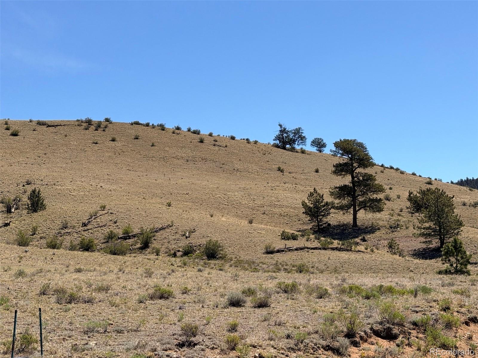 Hardwood Loop Hartsel, CO 80449 - Photo 28 of 38