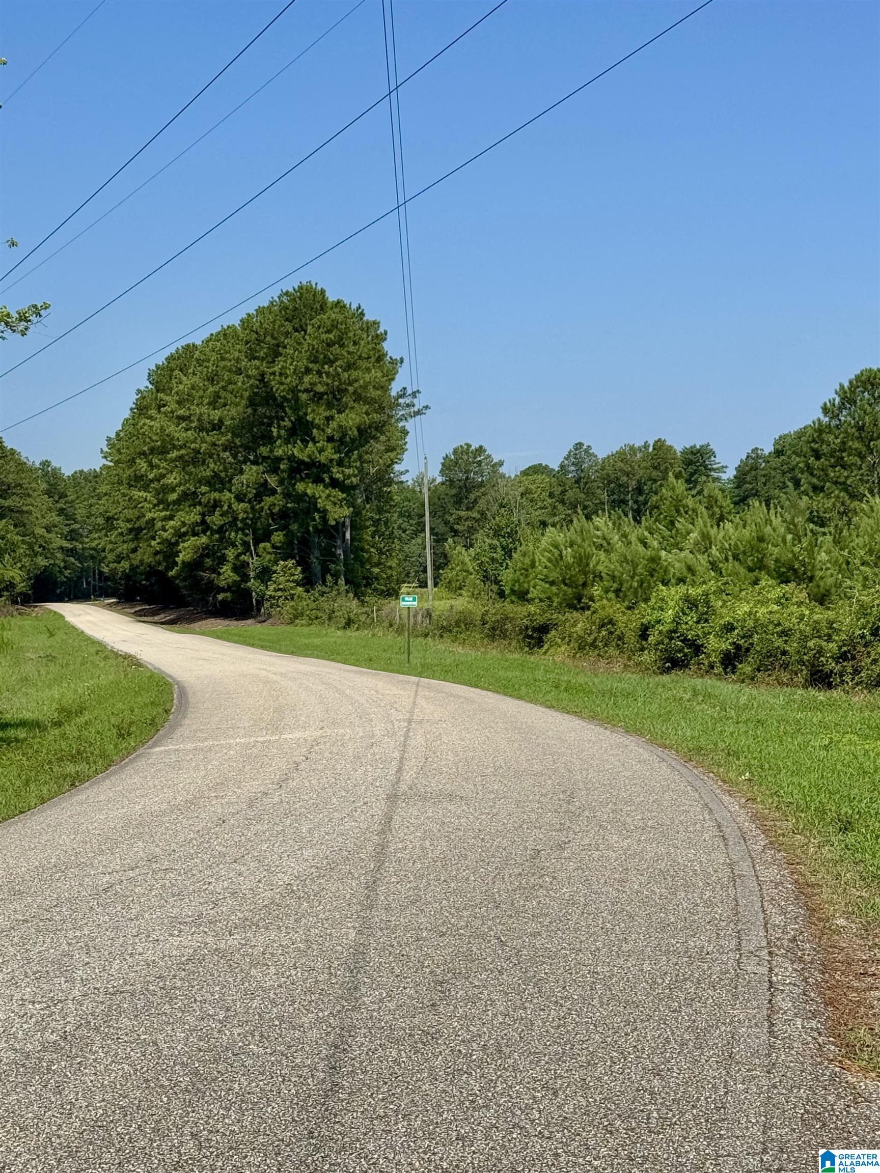 0 Center Hill Road Sylacauga, AL 35150 - Photo 3 of 4