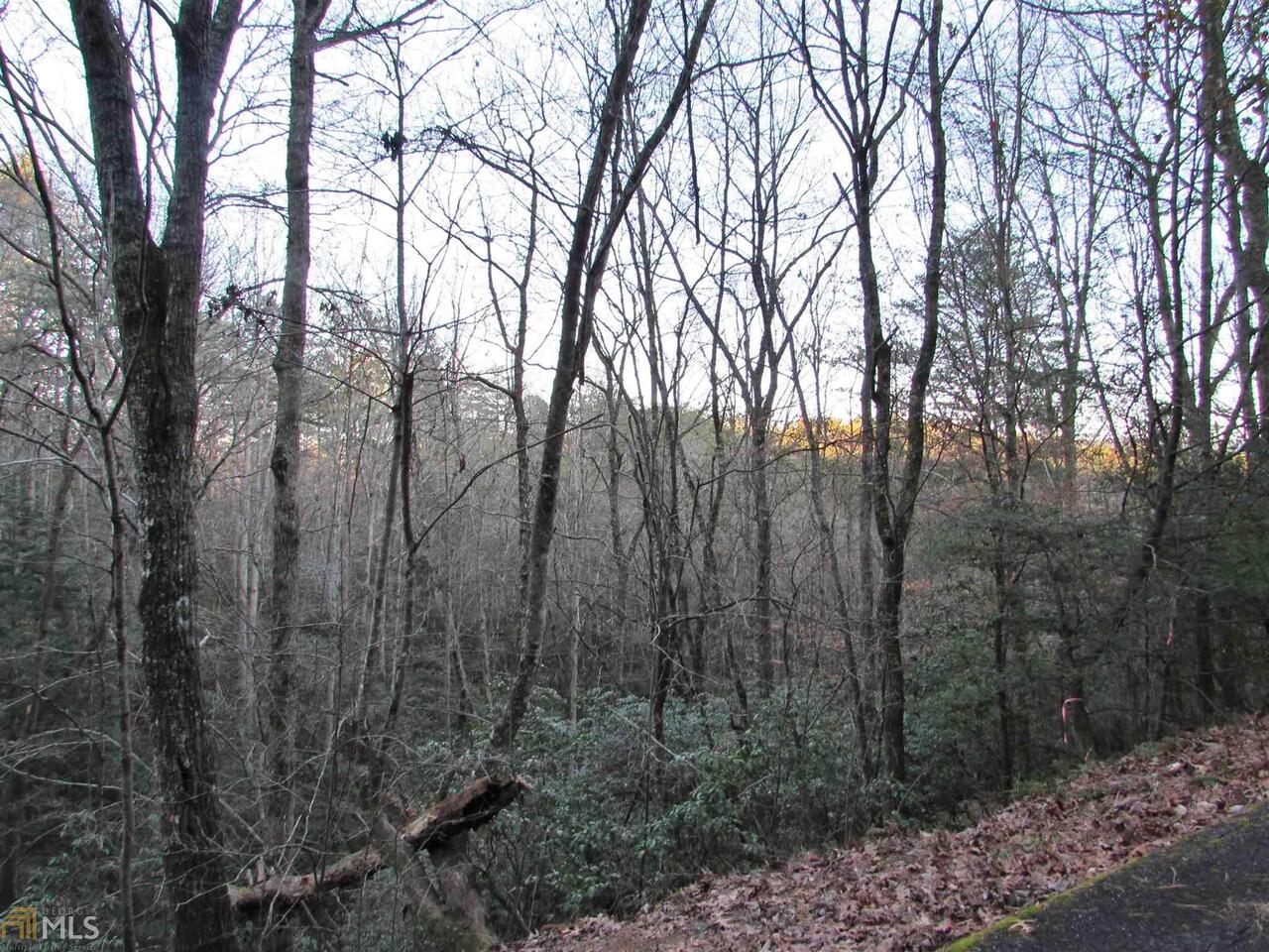 446 Apache Court, Unit 447 Ellijay, GA 30540 - Photo 1 of 1 Winter View of mountains