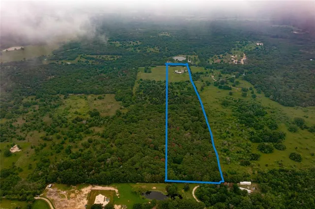 a view of a yard with a trees