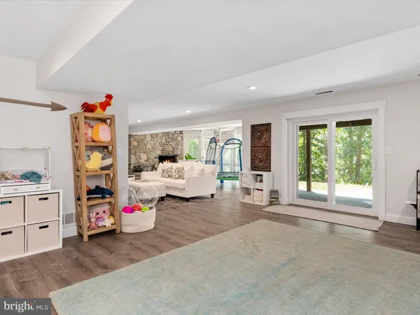 a view of a potted plants next to a yard