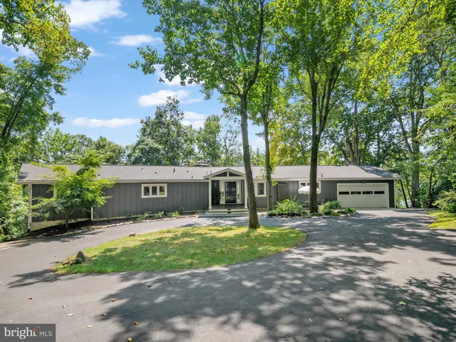 a view of a tree in front of a tree