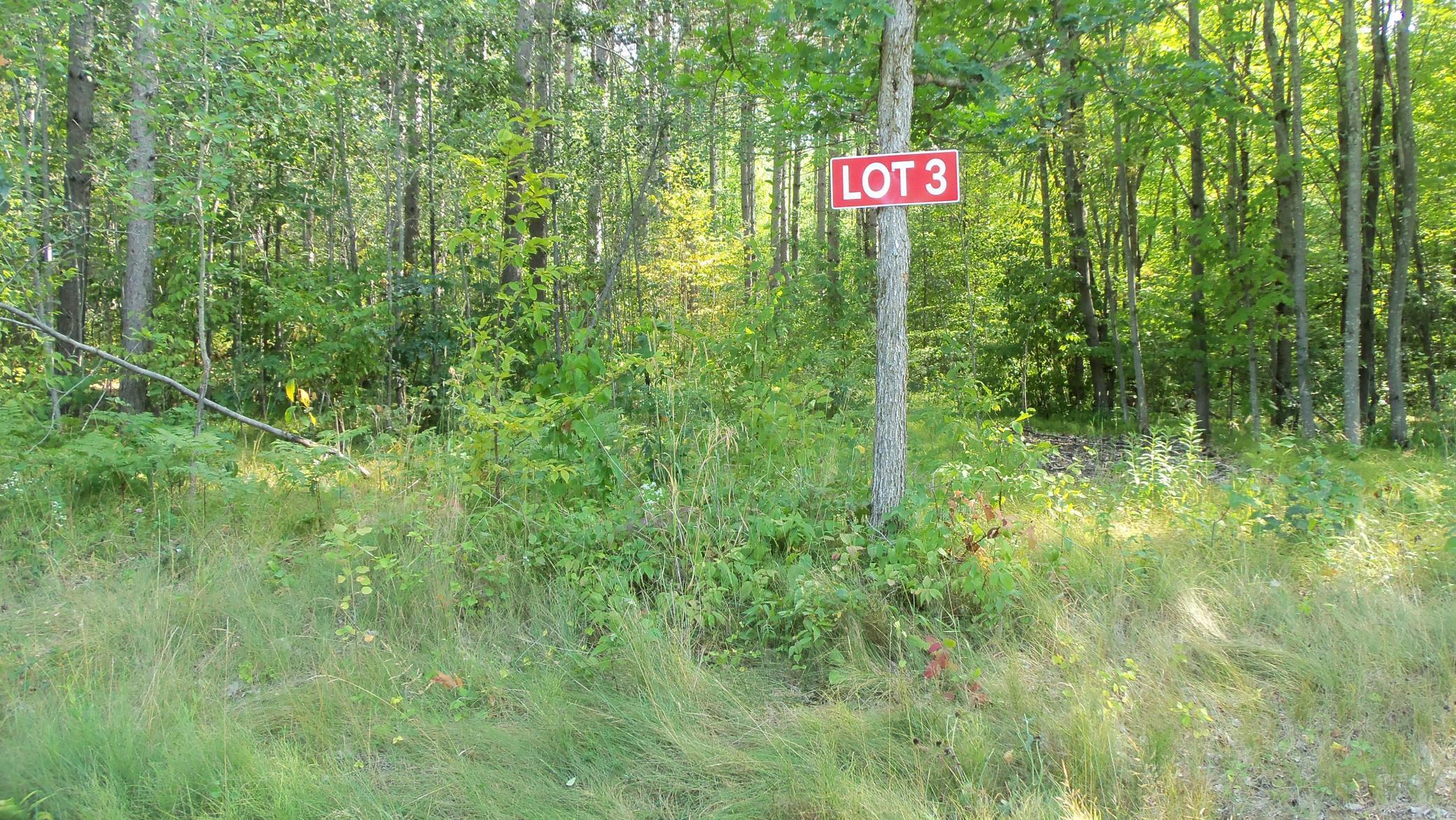 Lot 3 Veazie Road Trego, WI 54888 - Photo 1 of 1