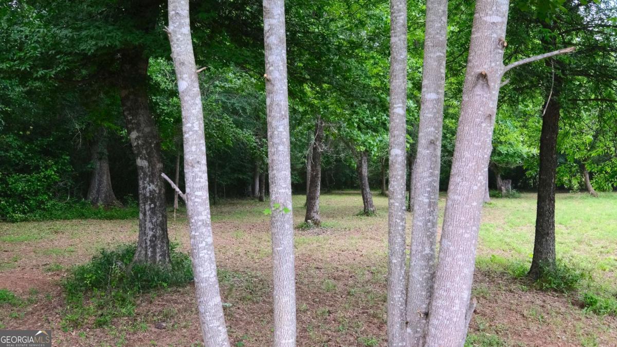 1455 Tappan Spur Road Watkinsville, GA 30677 - Photo 14 of 38