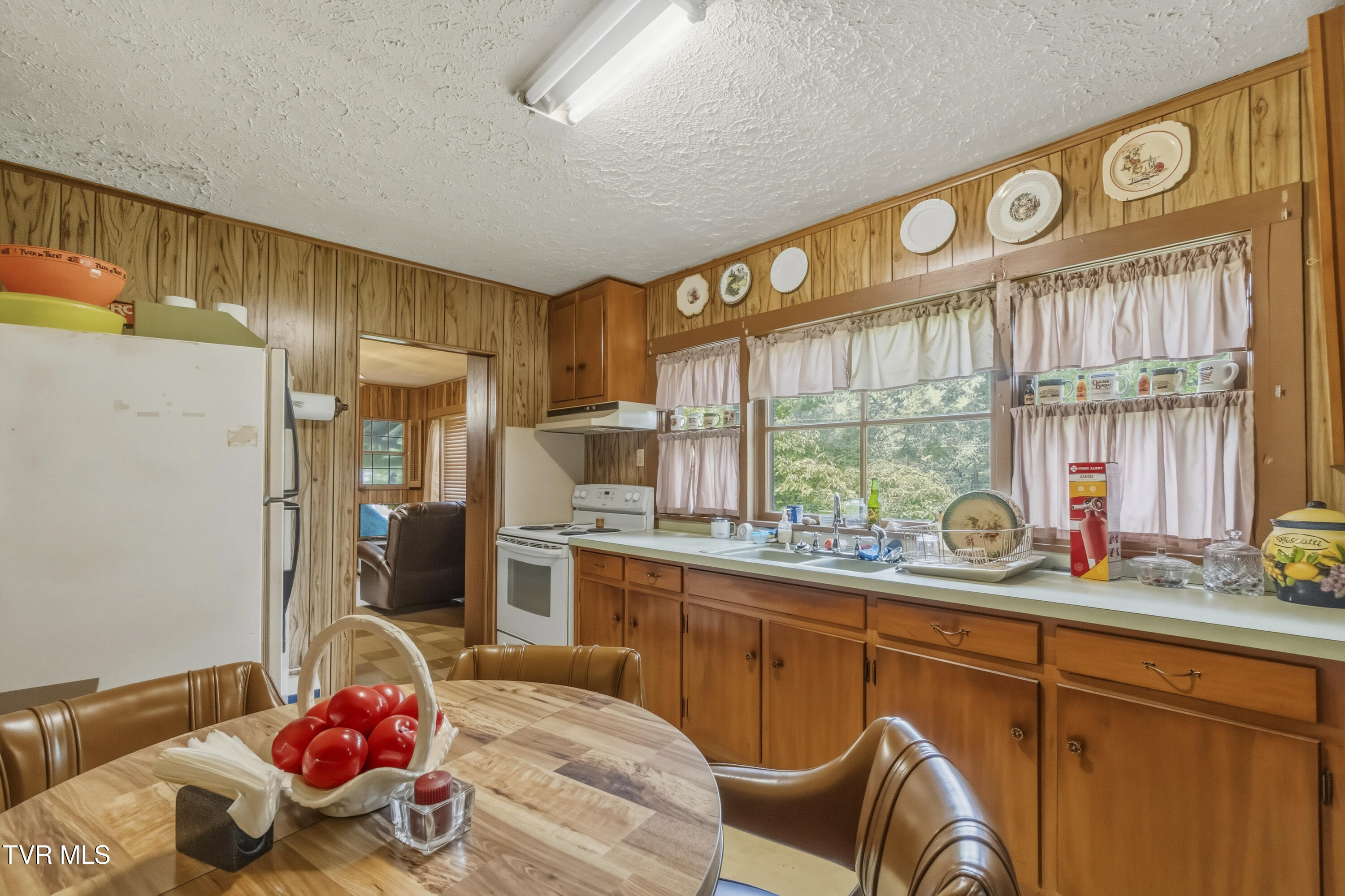 950 Middle Creek Road Afton, TN 37616 - Photo 38 of 64 DSC07585