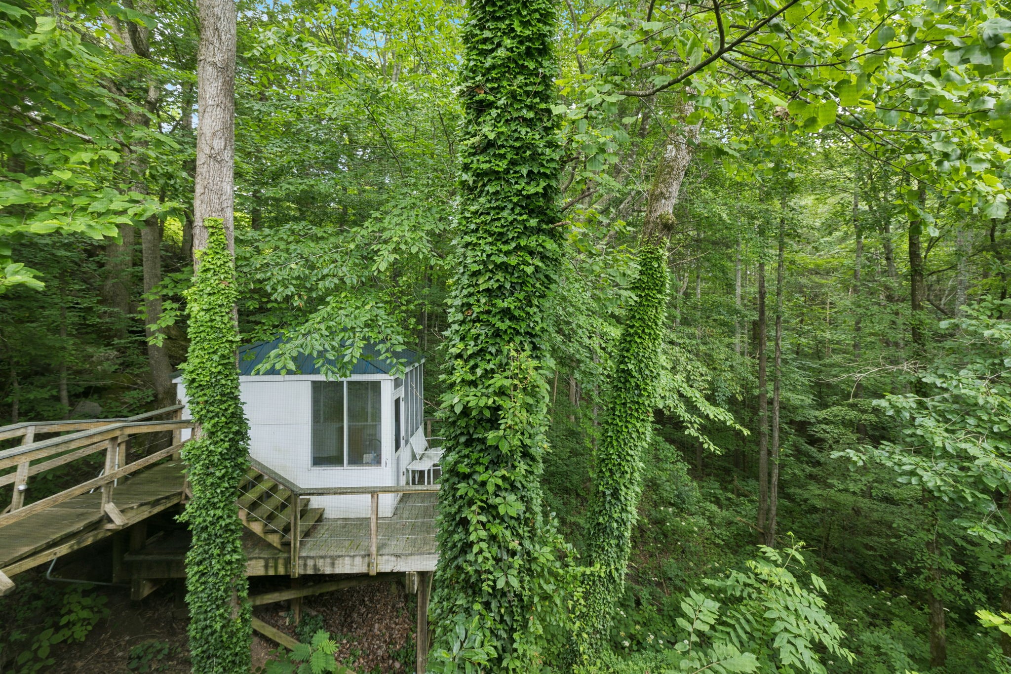 617 Still Point Road Smithville, TN 37166 - Photo 50 of 72 a view of a house with a yard