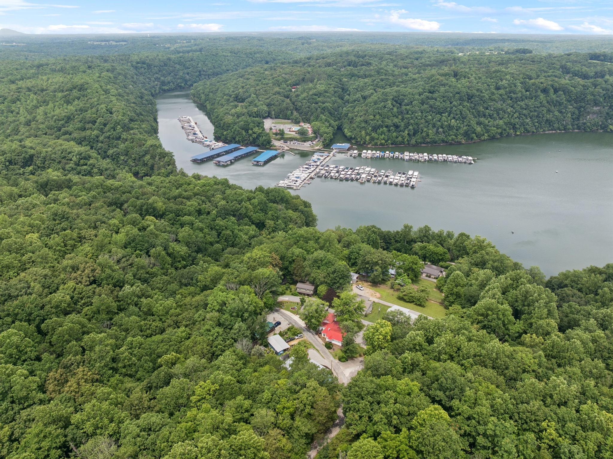 617 Still Point Road Smithville, TN 37166 - Photo 65 of 72 a view of a lake with huge green field and lots of plants