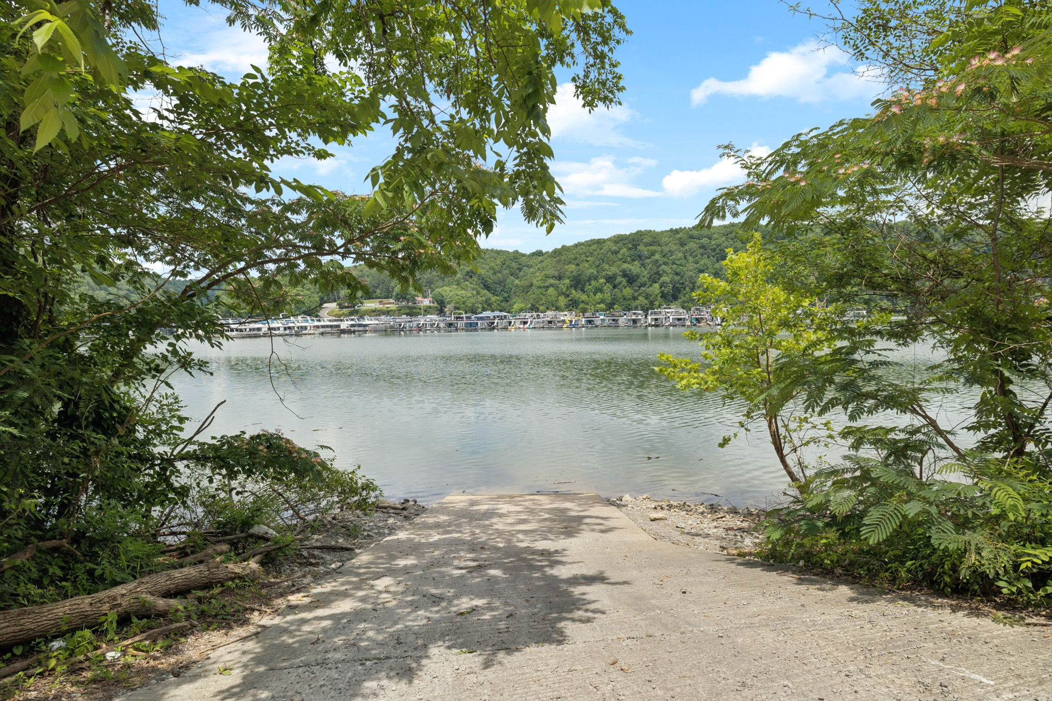 617 Still Point Road Smithville, TN 37166 - Photo 8 of 72 a view of a lake from a yard