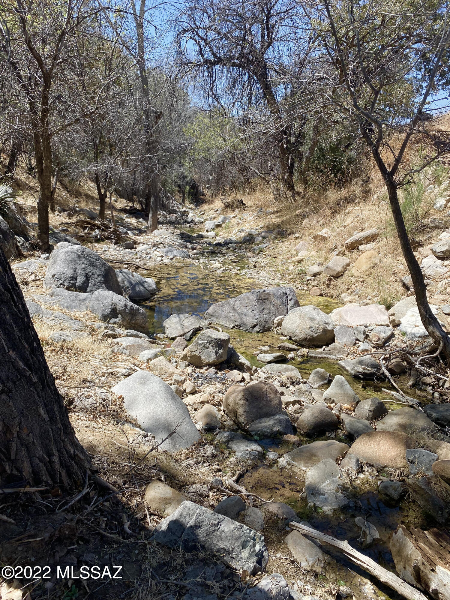 Private Land Rio Rico, AZ 85648 - Photo 21 of 48