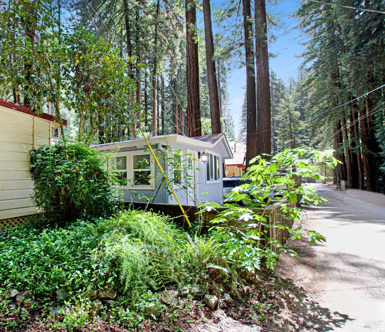 15289 Willow Road Guerneville, CA 95446 - Photo 22 of 22 a view of a garden with plants