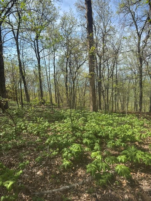 7180 Ridgeview Drive Big Canoe, GA 30143 - Photo 5 of 7
