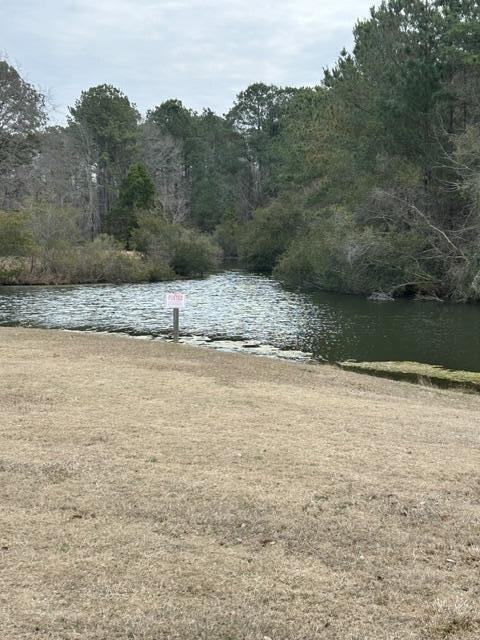 1152 Warrens Way Manning, SC 29102 - Photo 16 of 16 IMG_0072