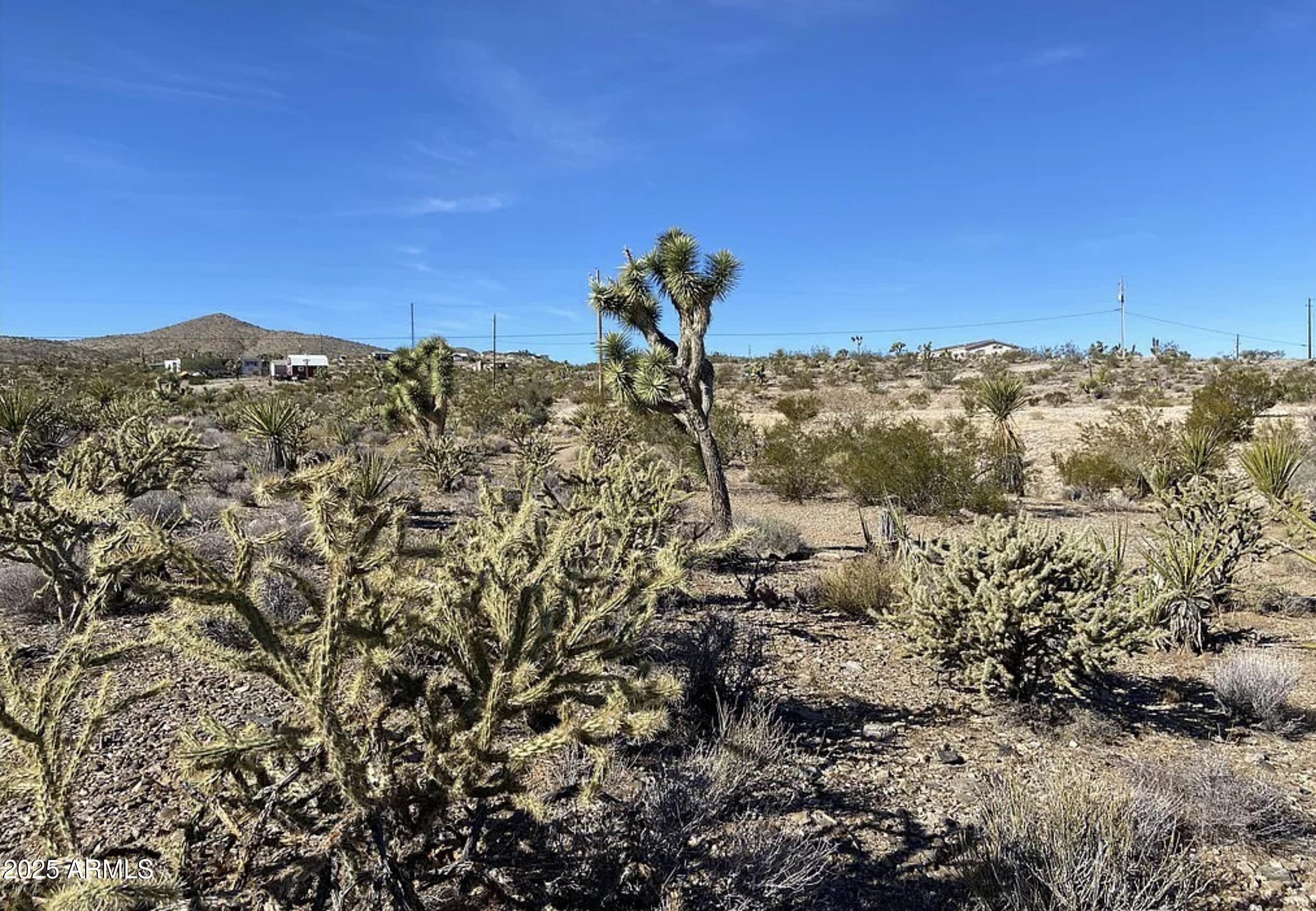 28915 Pierce Ferry Road Meadview, AZ 86444 - Photo 12 of 13 a view of a bunch of trees