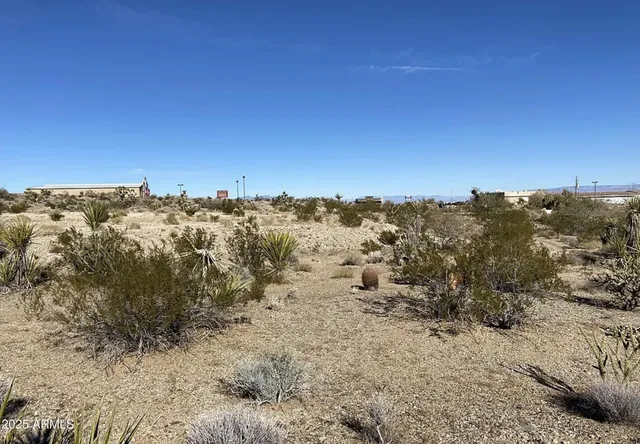 a view of a dry field