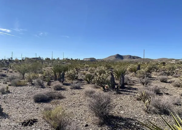 a view of a city with mountains in the background