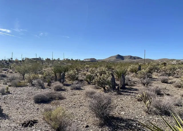 a view of a city with mountains in the background