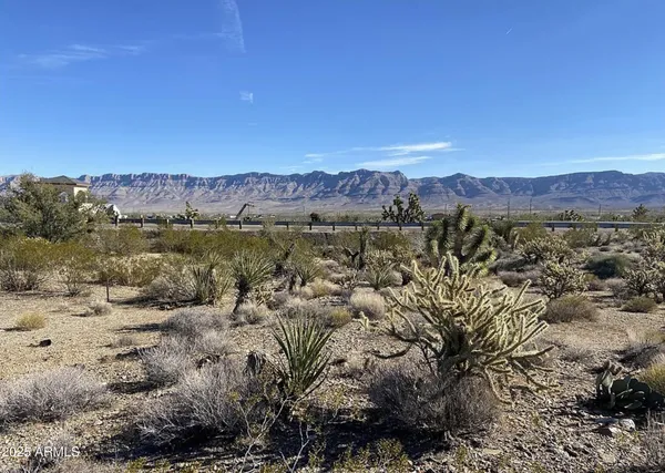 a view of a lot of trees and mountains
