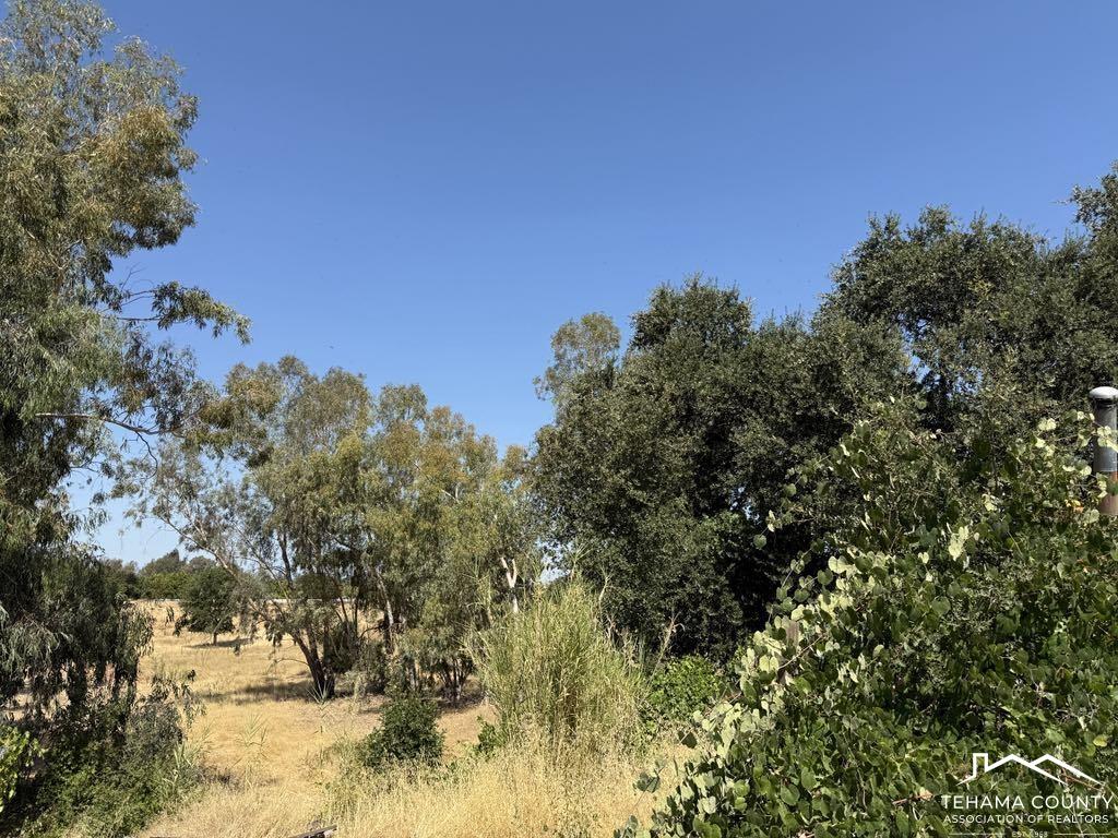 4471 Kopta Road Corning, CA 96021 - Photo 14 of 15