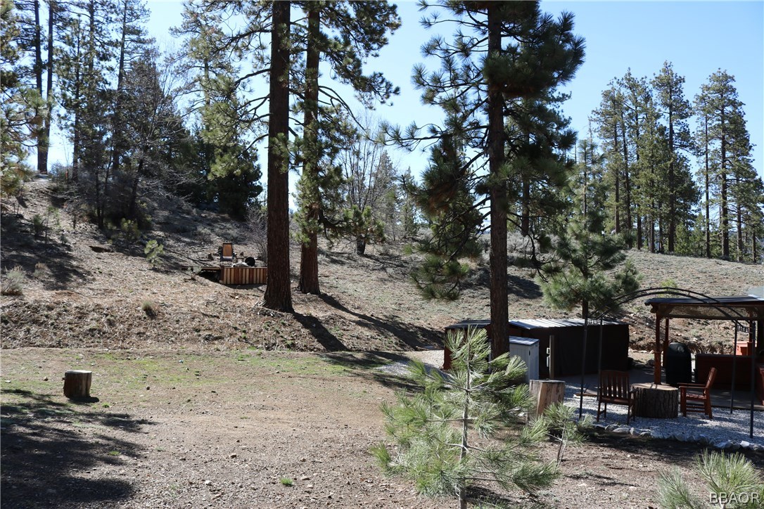 39665 Flicker Road Fawnskin, CA 92333 - Photo 22 of 29 a view of house with backyard and trees