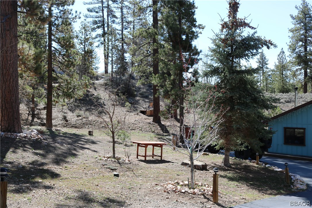 39665 Flicker Road Fawnskin, CA 92333 - Photo 25 of 29 a wooden bench sitting in middle of forest