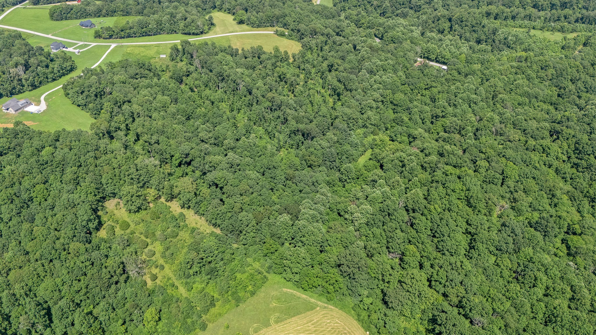 0 Chestnut Grove Road Pulaski, TN 38478 - Photo 11 of 17