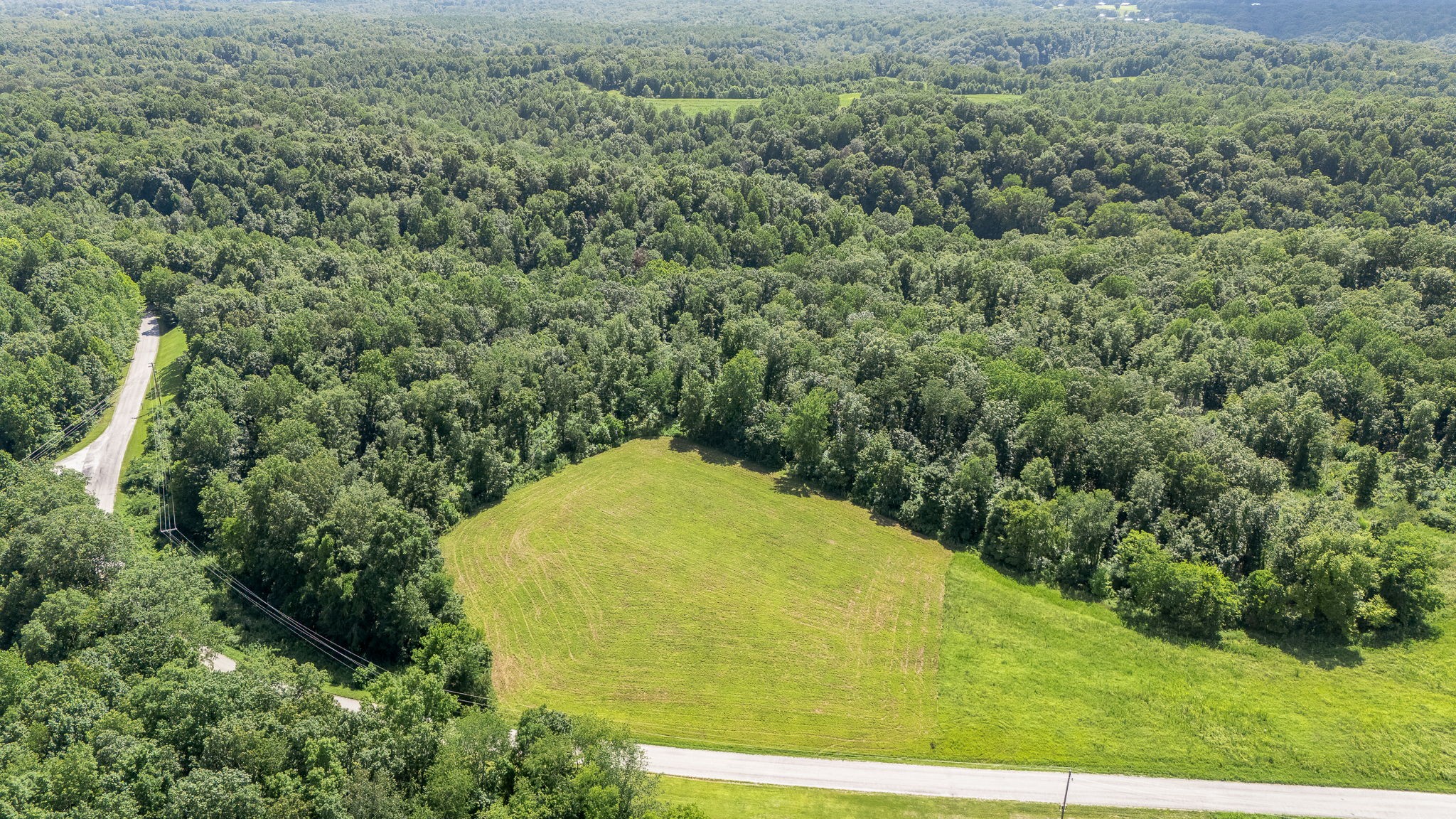 0 Chestnut Grove Road Pulaski, TN 38478 - Photo 13 of 17