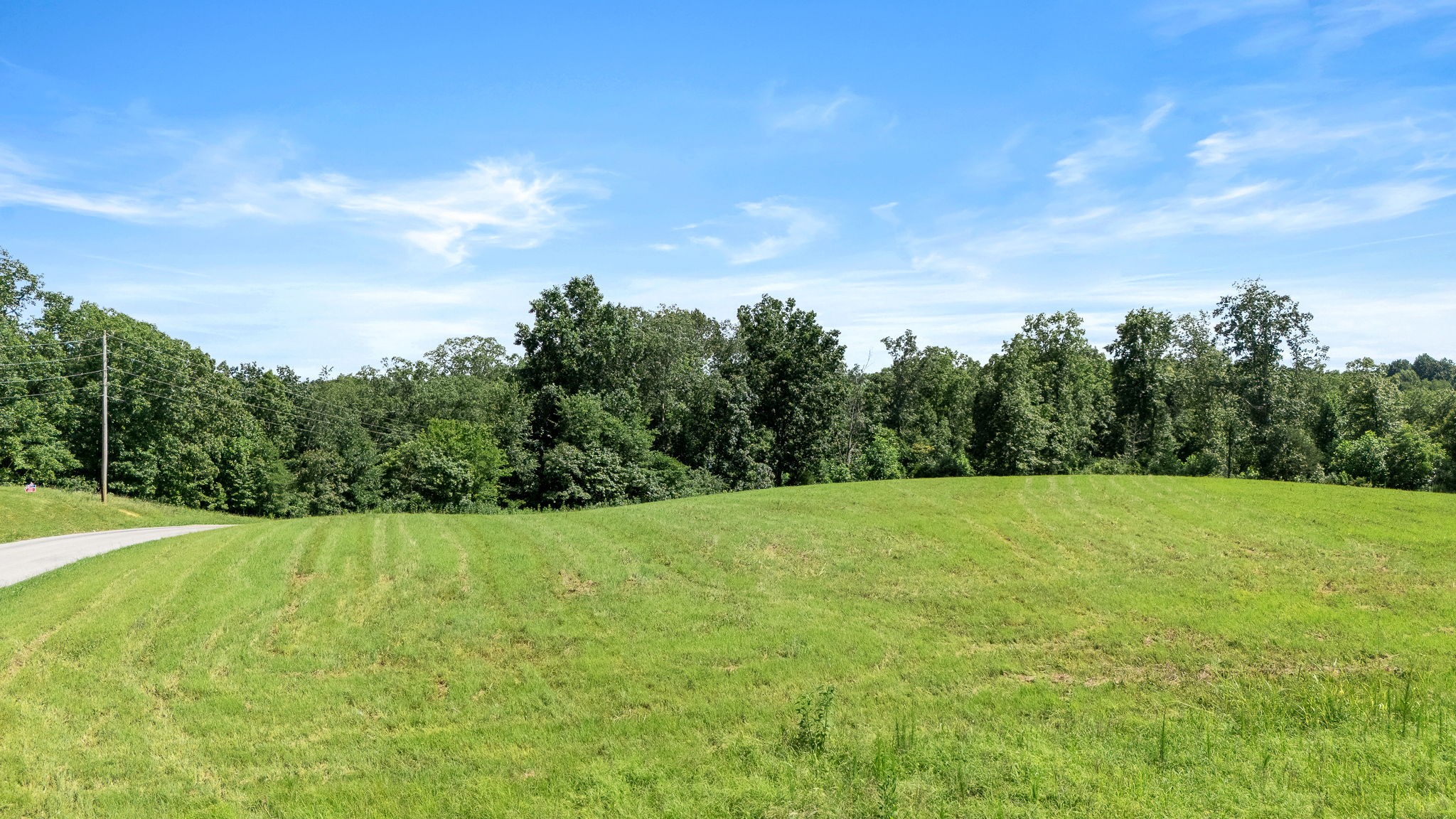 0 Chestnut Grove Road Pulaski, TN 38478 - Photo 15 of 17