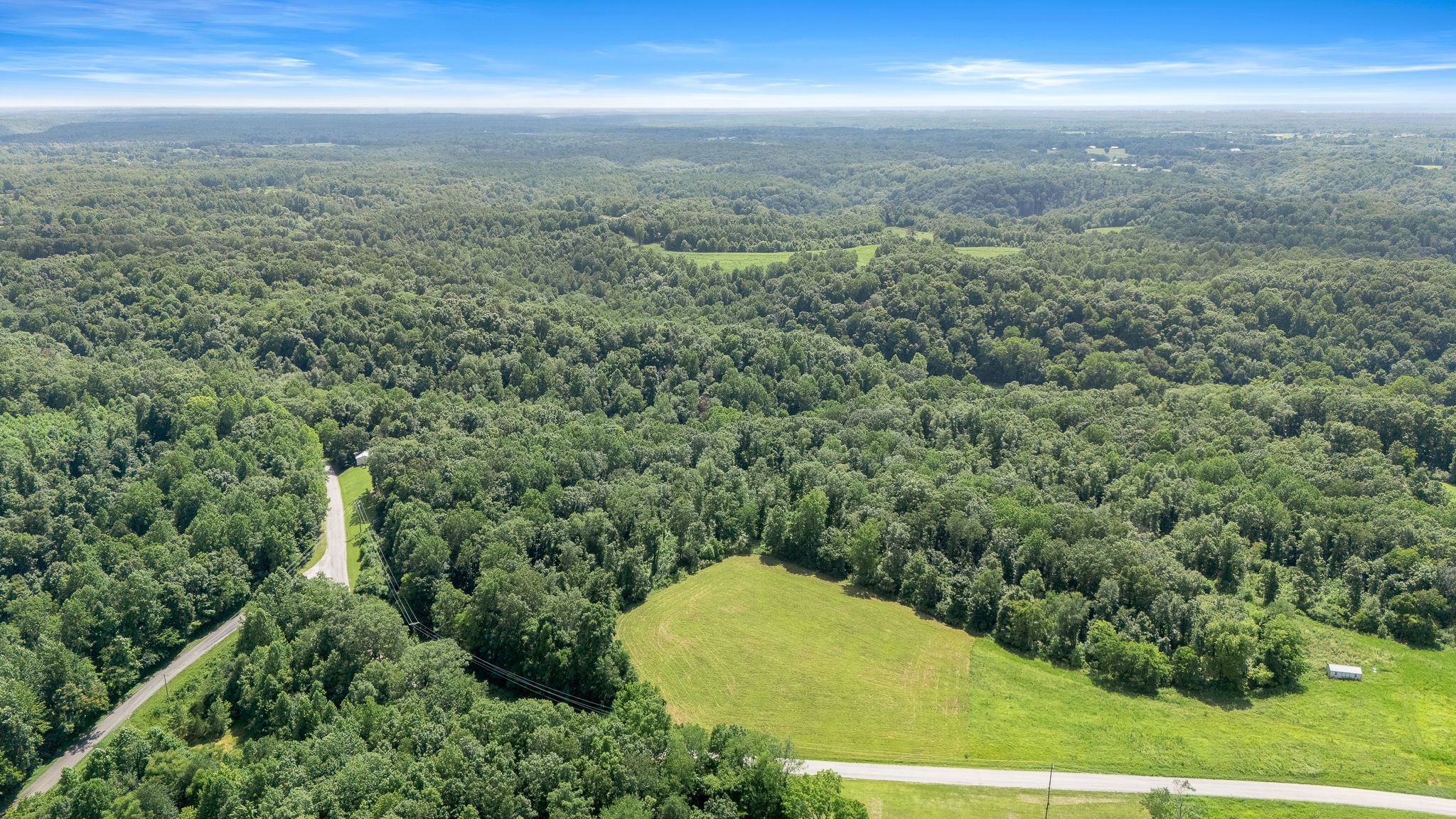 0 Chestnut Grove Road Pulaski, TN 38478 - Photo 5 of 17