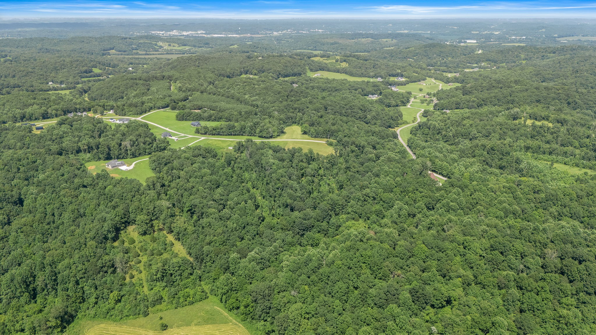 0 Chestnut Grove Road Pulaski, TN 38478 - Photo 9 of 17