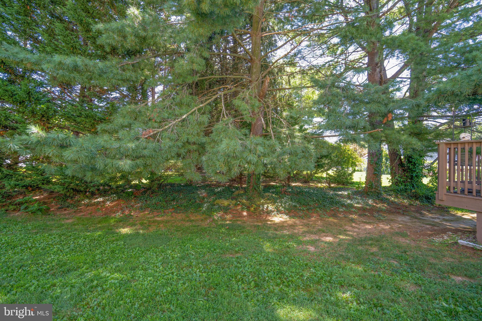 104 Bradbury Road Brookhaven, PA 19015 - Photo 29 of 29 a view of a tree in a yard
