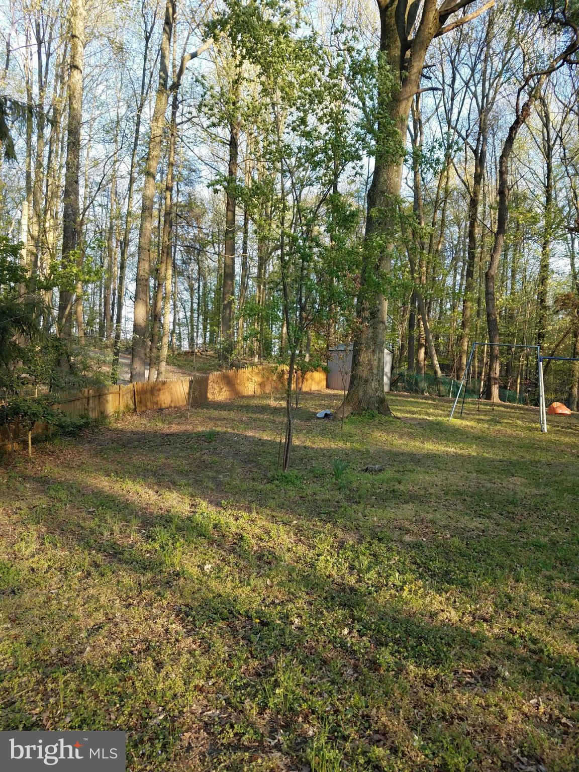 1348 Governor Bridge Road Davidsonville, MD 21035 - Photo 8 of 17 Enjoy nature at it's best! Wildlife abounds!