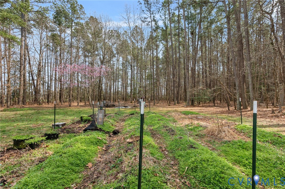 1373 Butler Branch Road Petersburg, VA 23805 - Photo 25 of 28 View of yard