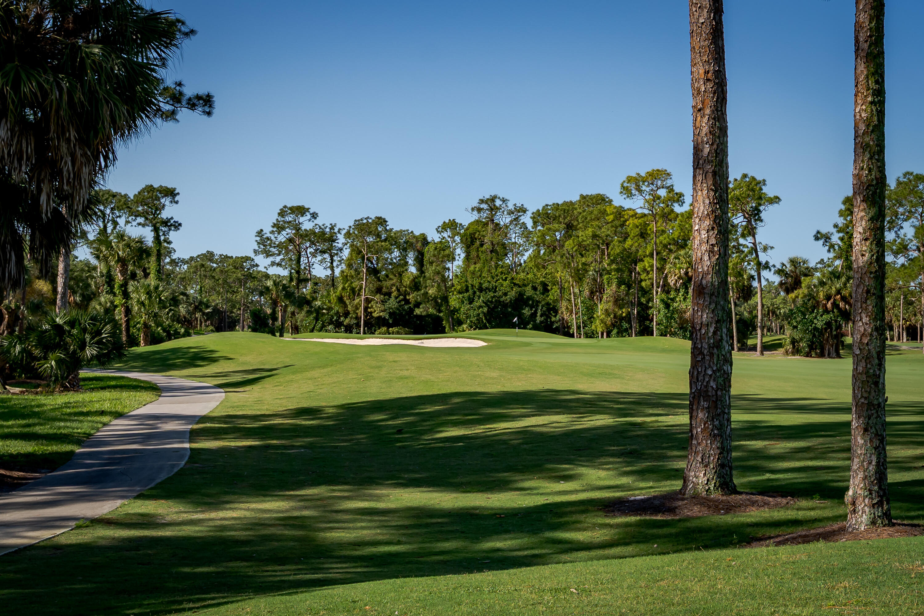 8065 Tiger Cove, Unit 1611 Naples, FL 34113 - Photo 37 of 40 Golf course