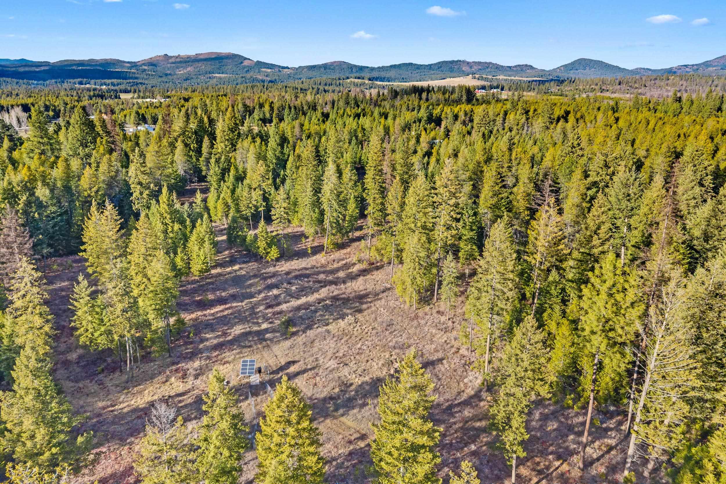 12818 East Bridges Road Elk, WA 99009 - Photo 22 of 25