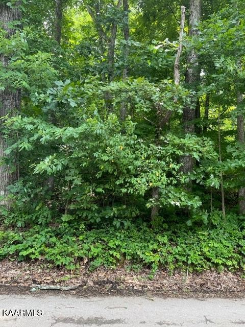 0 Knight Road Knoxville, TN 37920 - Photo 1 of 3 Gallery Image 1