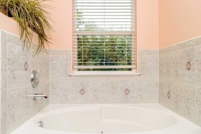 229 Ridge Road North Aurora, IL 60542 - Photo 12 of 18 a bathroom with a bathtub and a shower