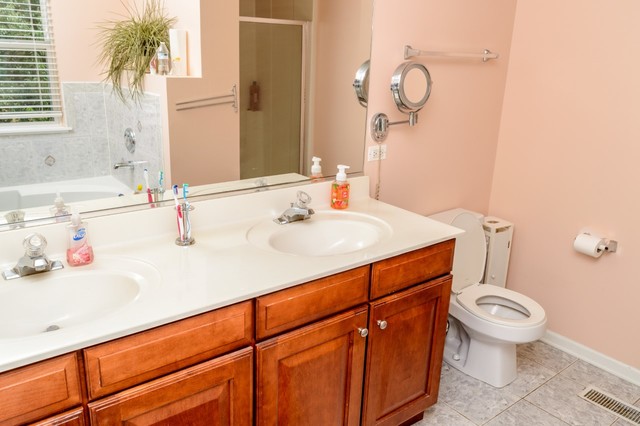 229 Ridge Road North Aurora, IL 60542 - Photo 15 of 18 a bathroom with a sink vanity mirror and toilet