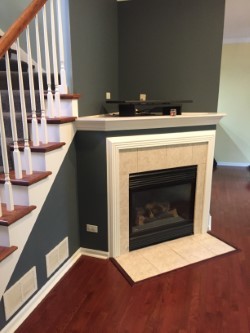 229 Ridge Road North Aurora, IL 60542 - Photo 8 of 18 a view of an empty room with wooden floor and a fireplace