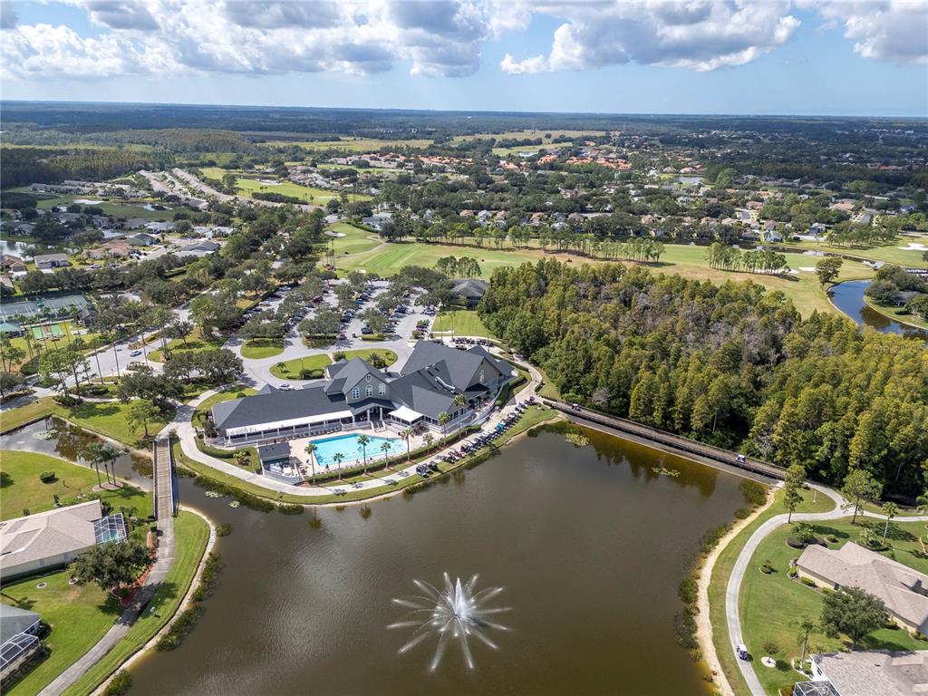 1643 Lakestone Drive Trinity, FL 34655 - Photo 25 of 30