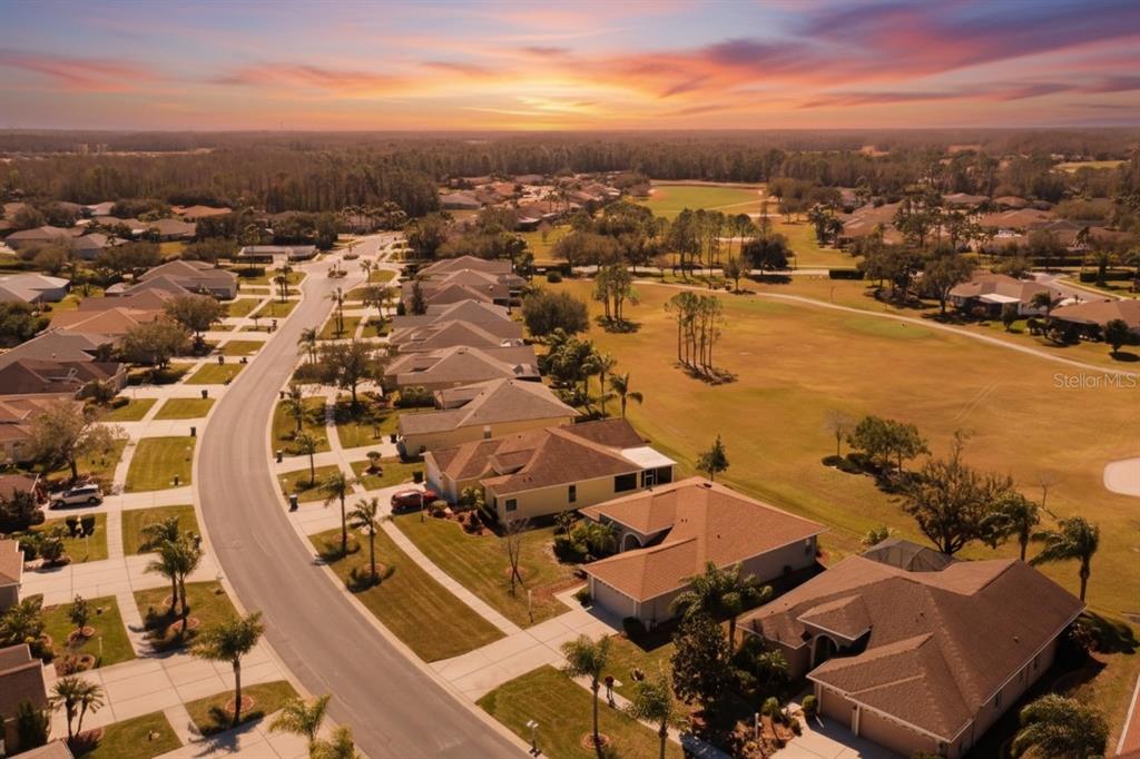 1643 Lakestone Drive Trinity, FL 34655 - Photo 29 of 30