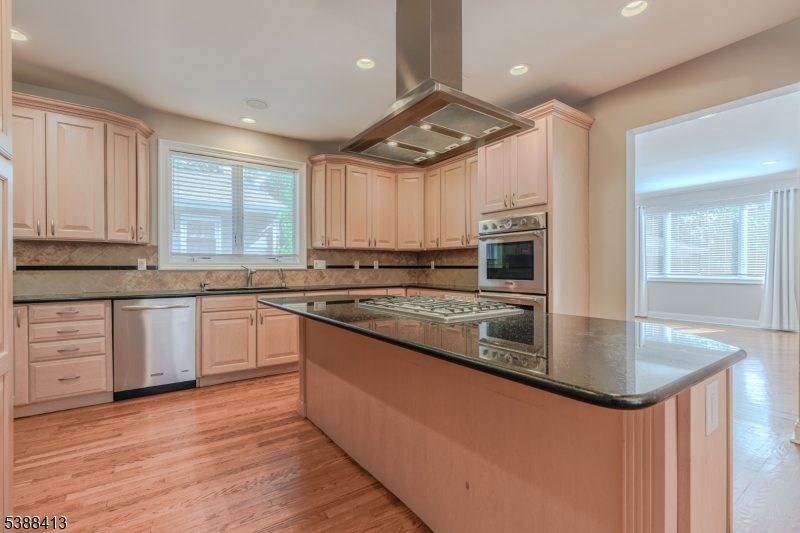 567 Mountain Avenue Springfield, NJ 07081 - Photo 10 of 28 a large kitchen with stainless steel appliances granite countertop a stove a sink and a microwave