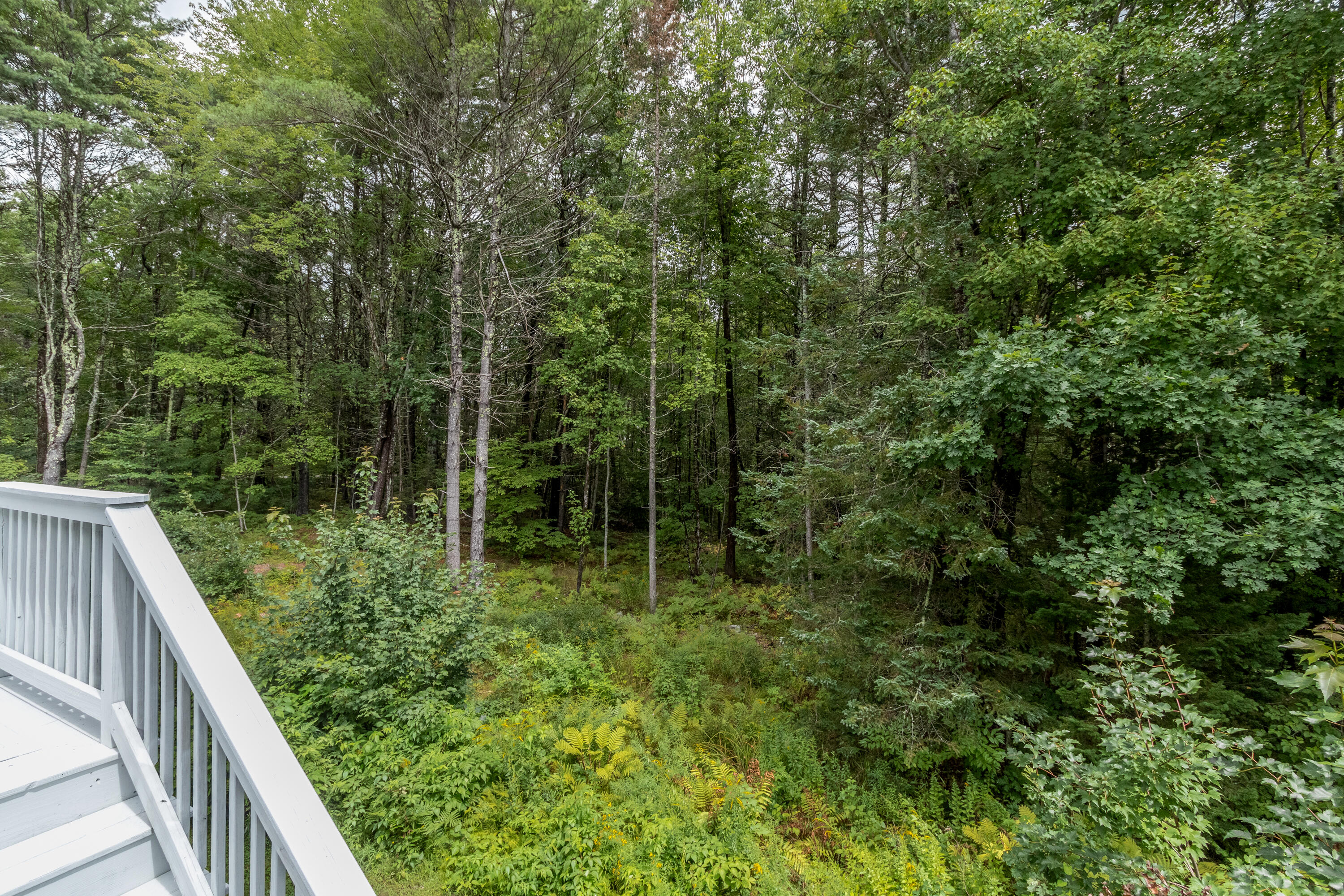 17 Inland Farm Road Windham, ME 04062 - Photo 78 of 82 Rear Yard