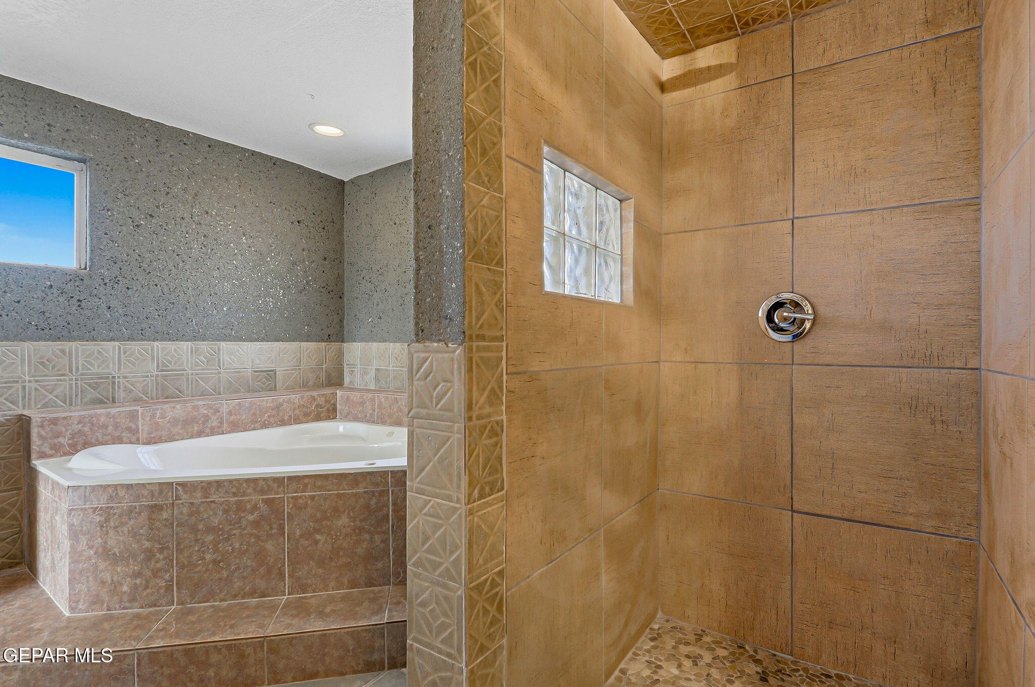 14573 B Van Fleet Road El Paso, TX 79938 - Photo 46 of 128 17-web-or-mls-IMG_6645