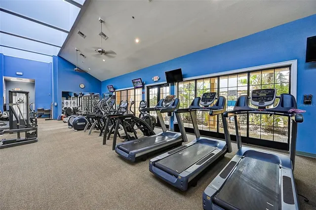 a view of a park with large trees