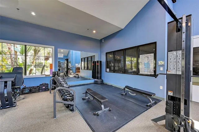 a view of a basket ball ground