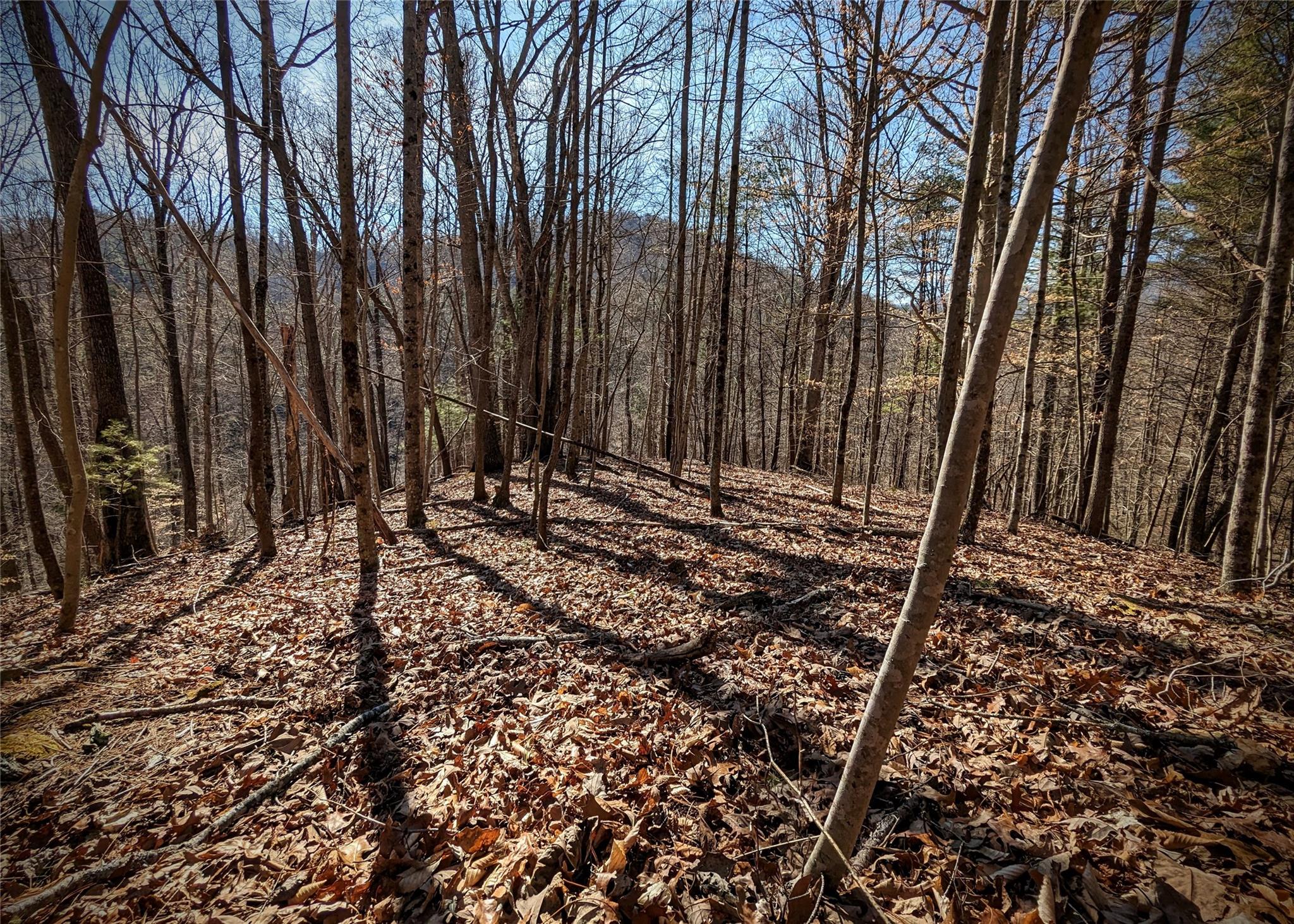 2771 Upper Paw Paw Road Marshall, NC 28753 - Photo 29 of 48 a view of a backyard of the house