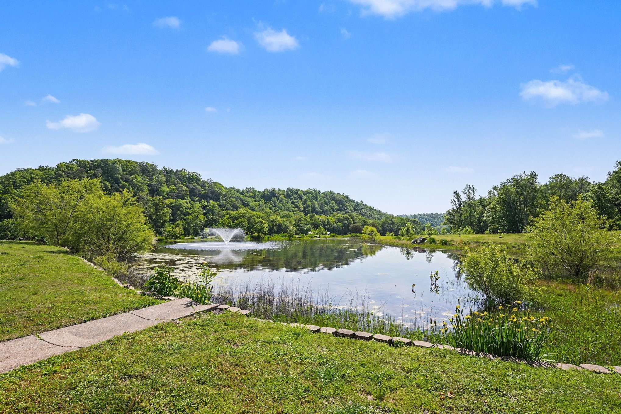 7699 County Line Road North White Bluff, TN 37187 - Photo 18 of 91 a view of lake with green space
